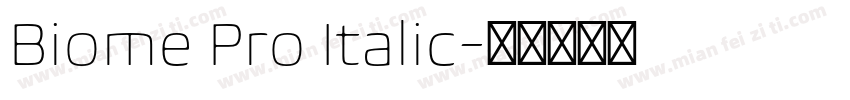 Biome Pro Italic字体转换